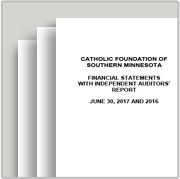 Catholic Foundation of Southern Minnesota Financials